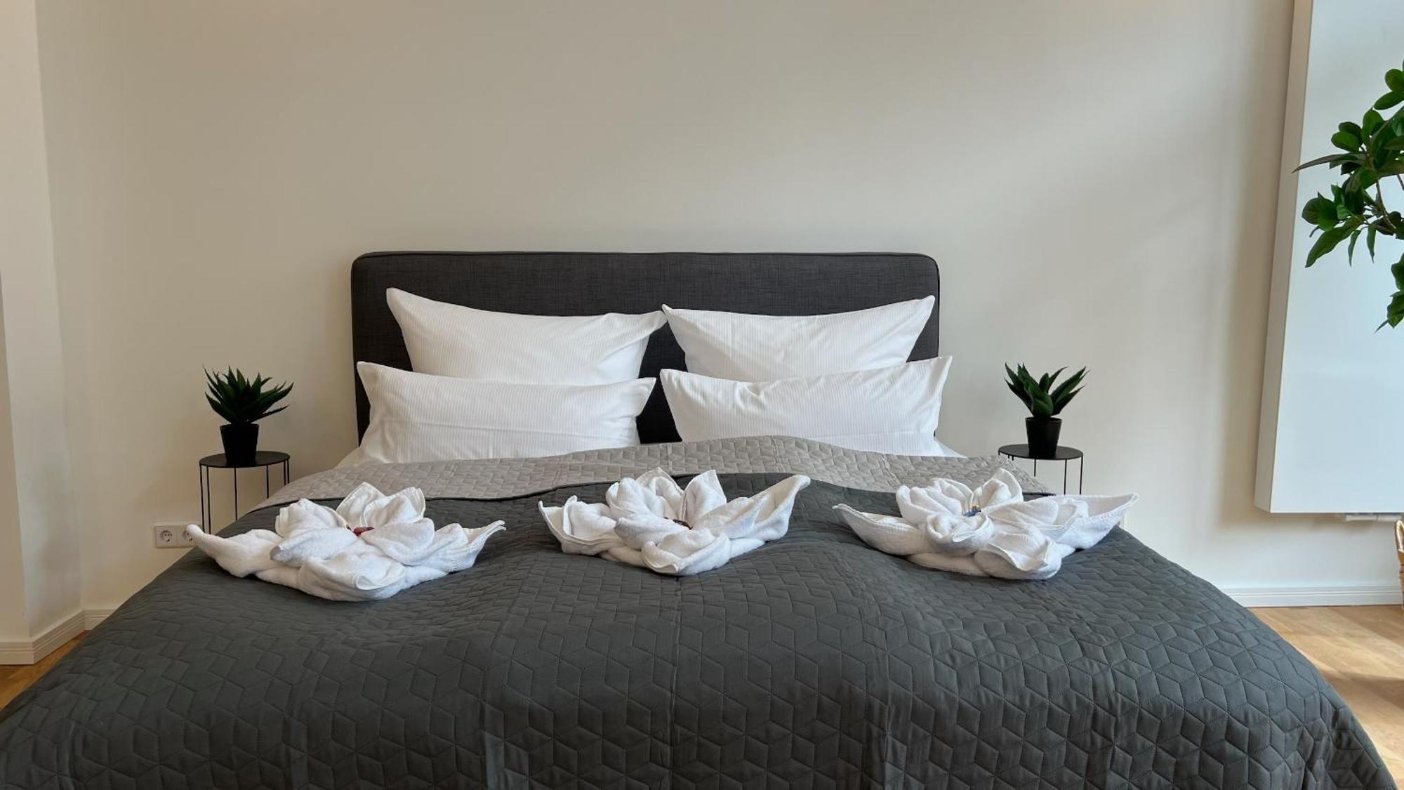 Neu! City-Loft-Apartment Im Goethe Palais I 5P I Lift I Parkplatz I Zentrum I Helios Aue  Exterior photo