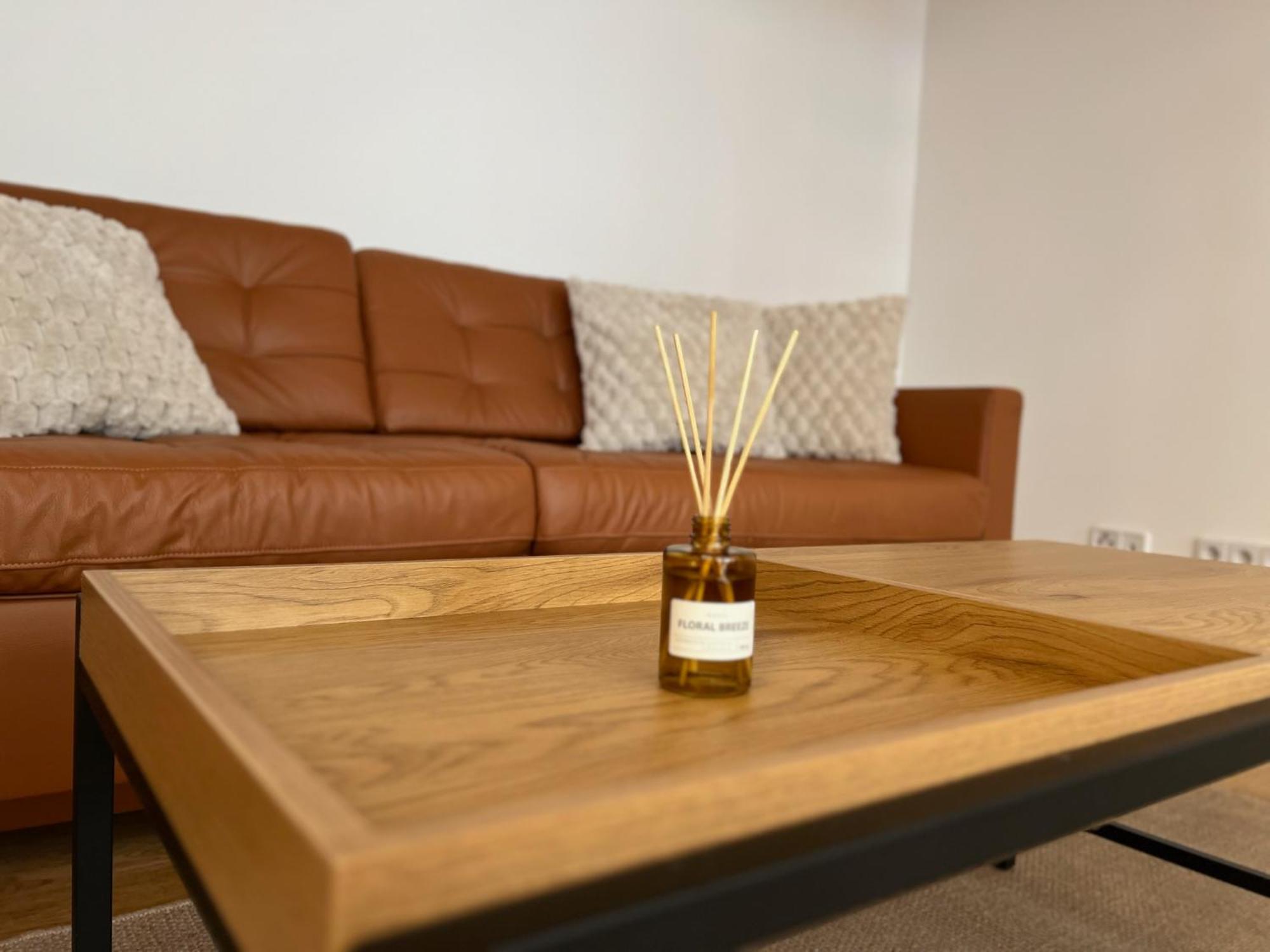 Neu! City-Loft-Apartment Im Goethe Palais I 5P I Lift I Parkplatz I Zentrum I Helios Aue  Exterior photo